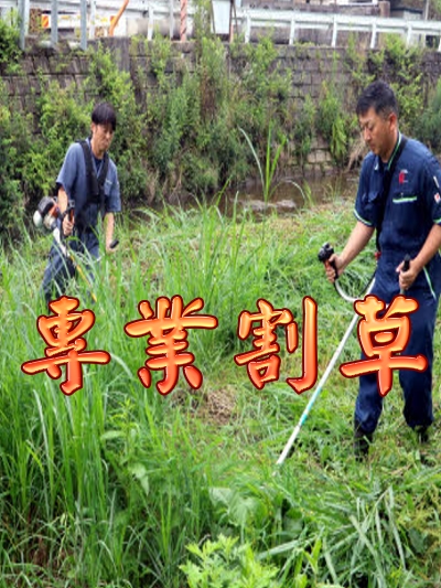 除草